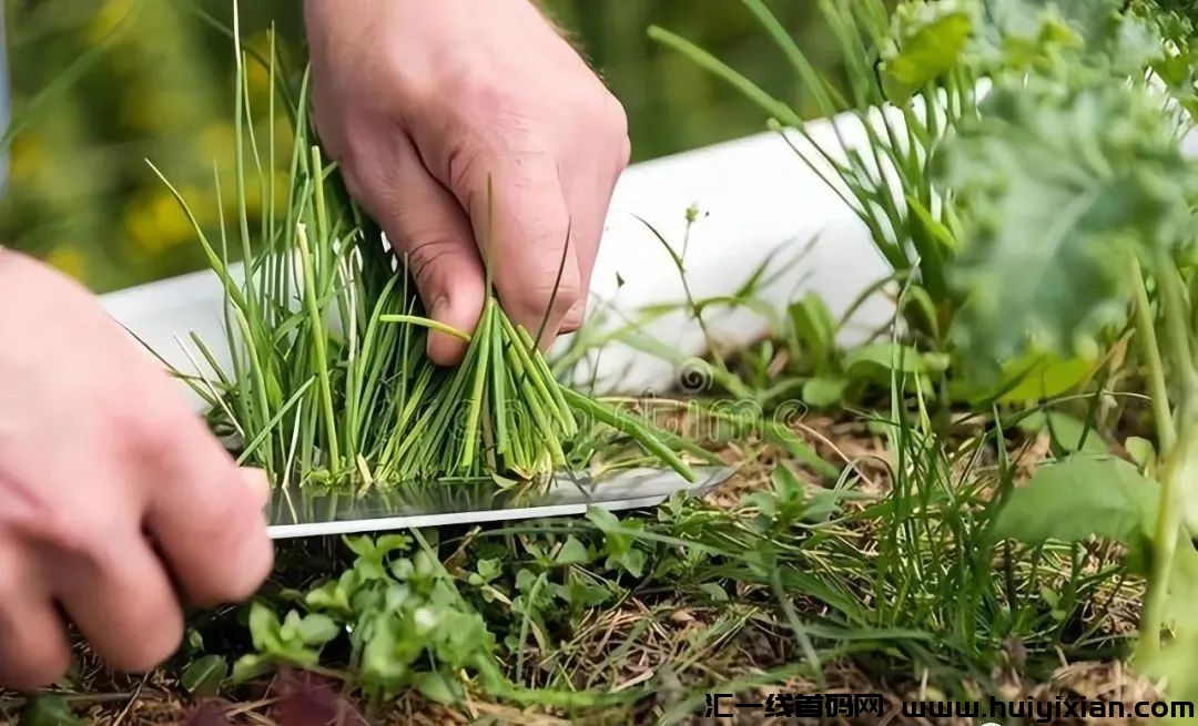 147973670f20240315163238