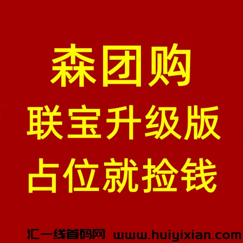 森团购，联宝提高版，公排二二复智滑落模式，实体公/司支持考察，抢占先机-汇一线首码网