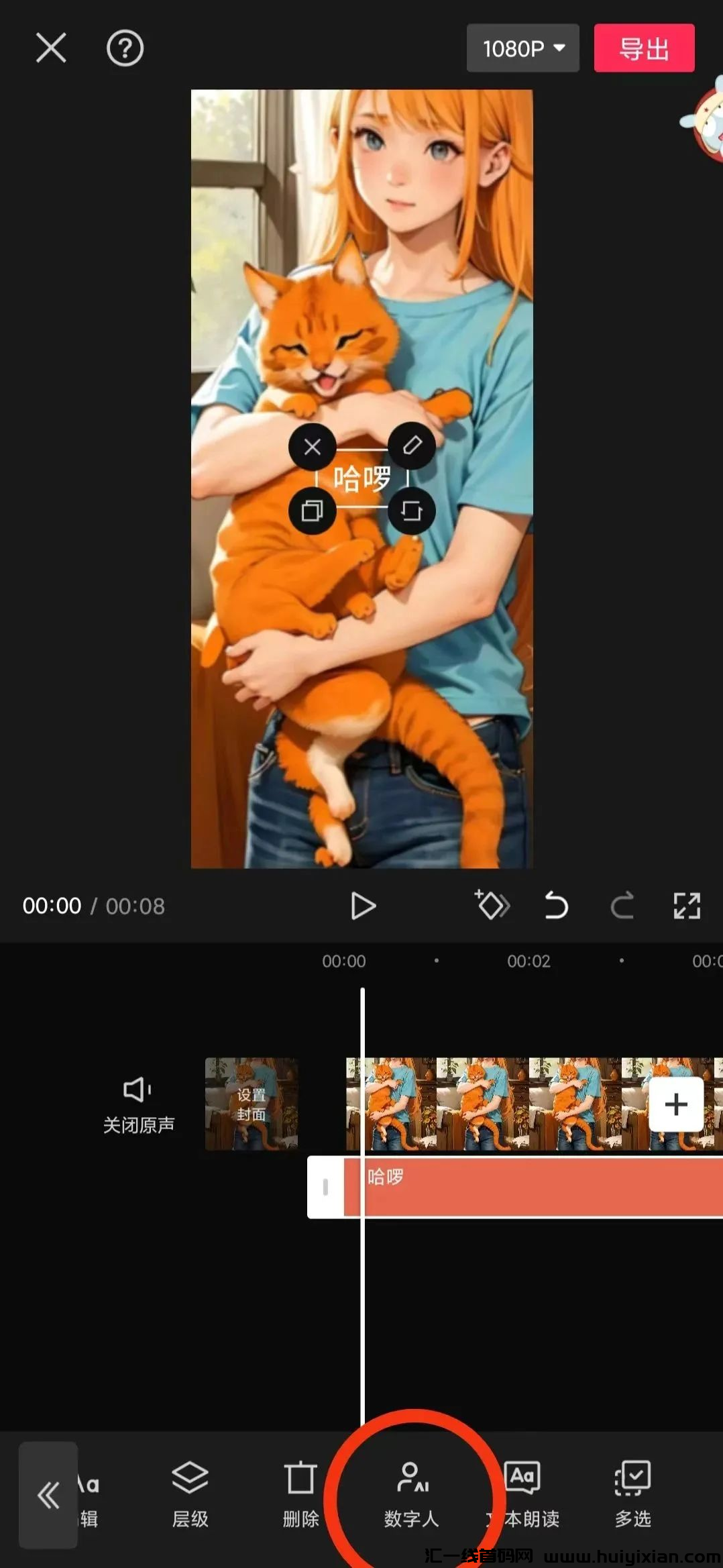 d2b5ca33bd20240324150819