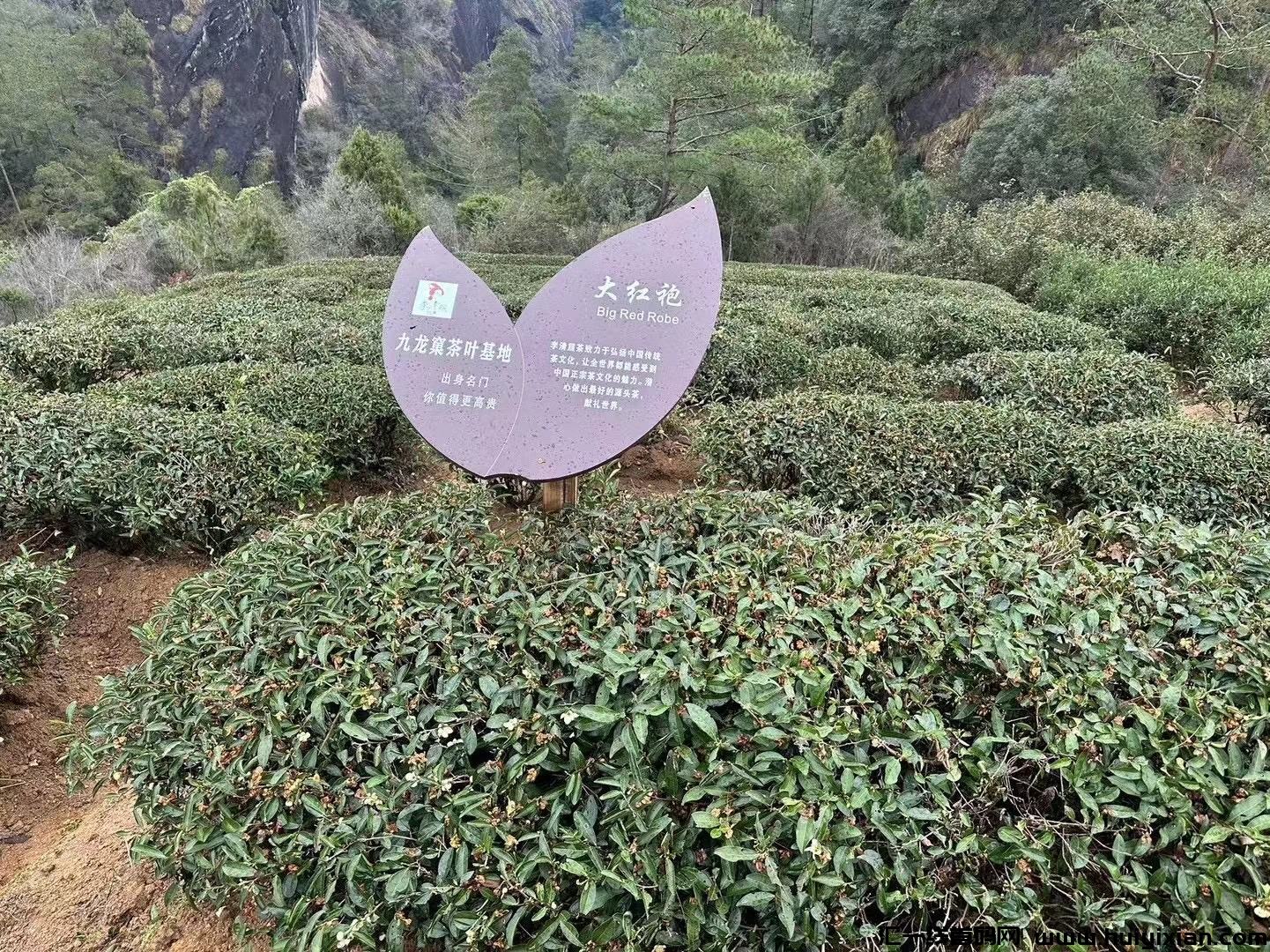 1bb8a418fc20240424180951