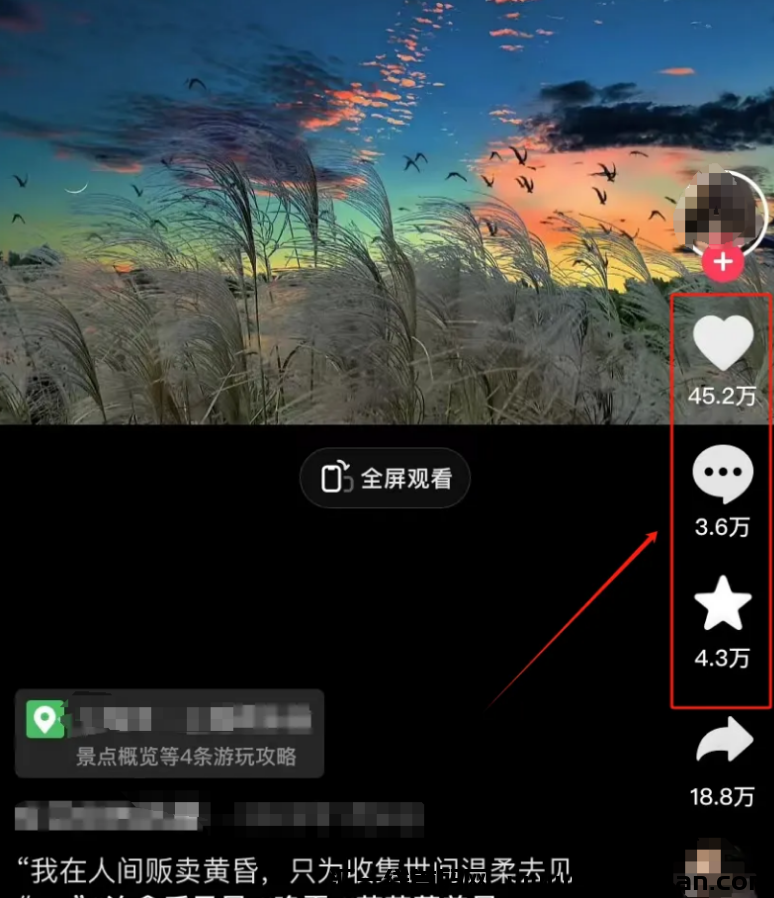 快速变现！几分钟制作，视頻轻松赚￥1000+，收溢翻倍不是梦！-汇一线首码网