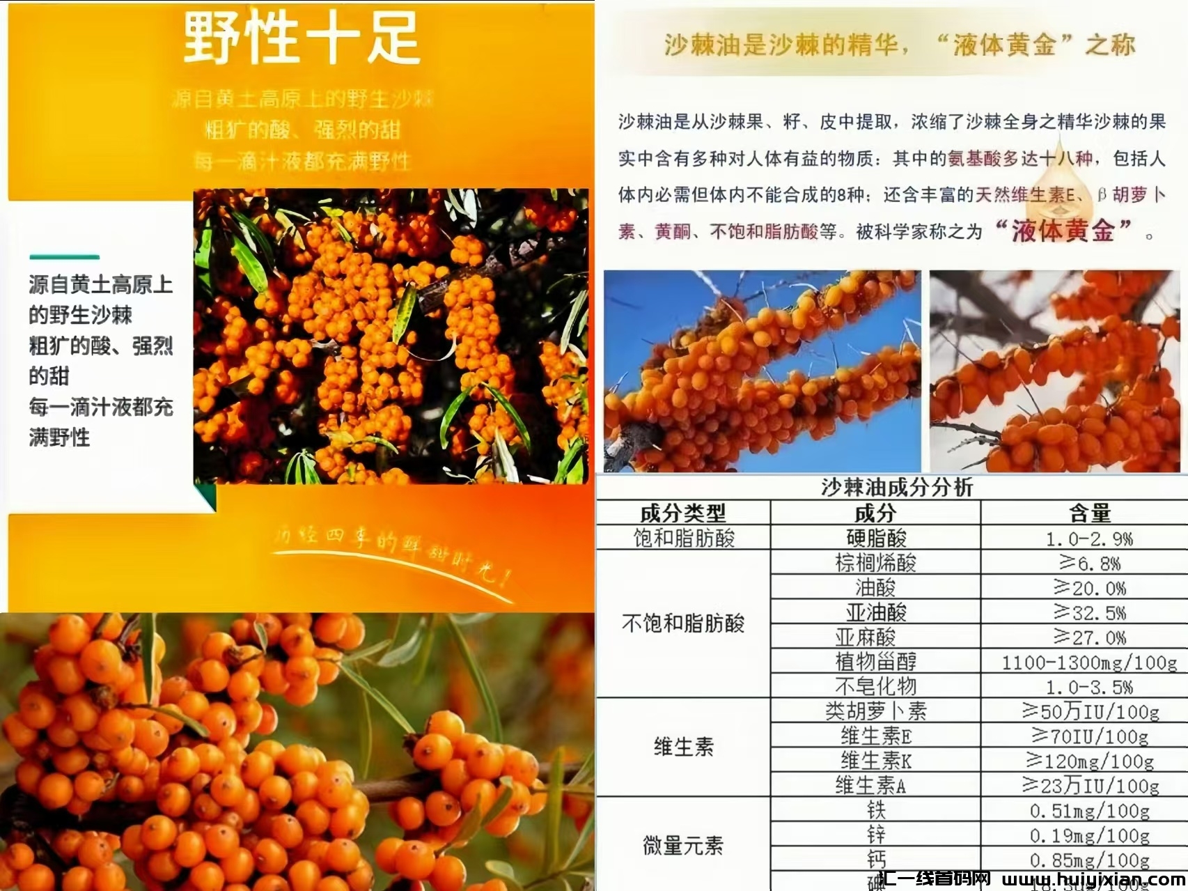 032b2cc93620240519102743