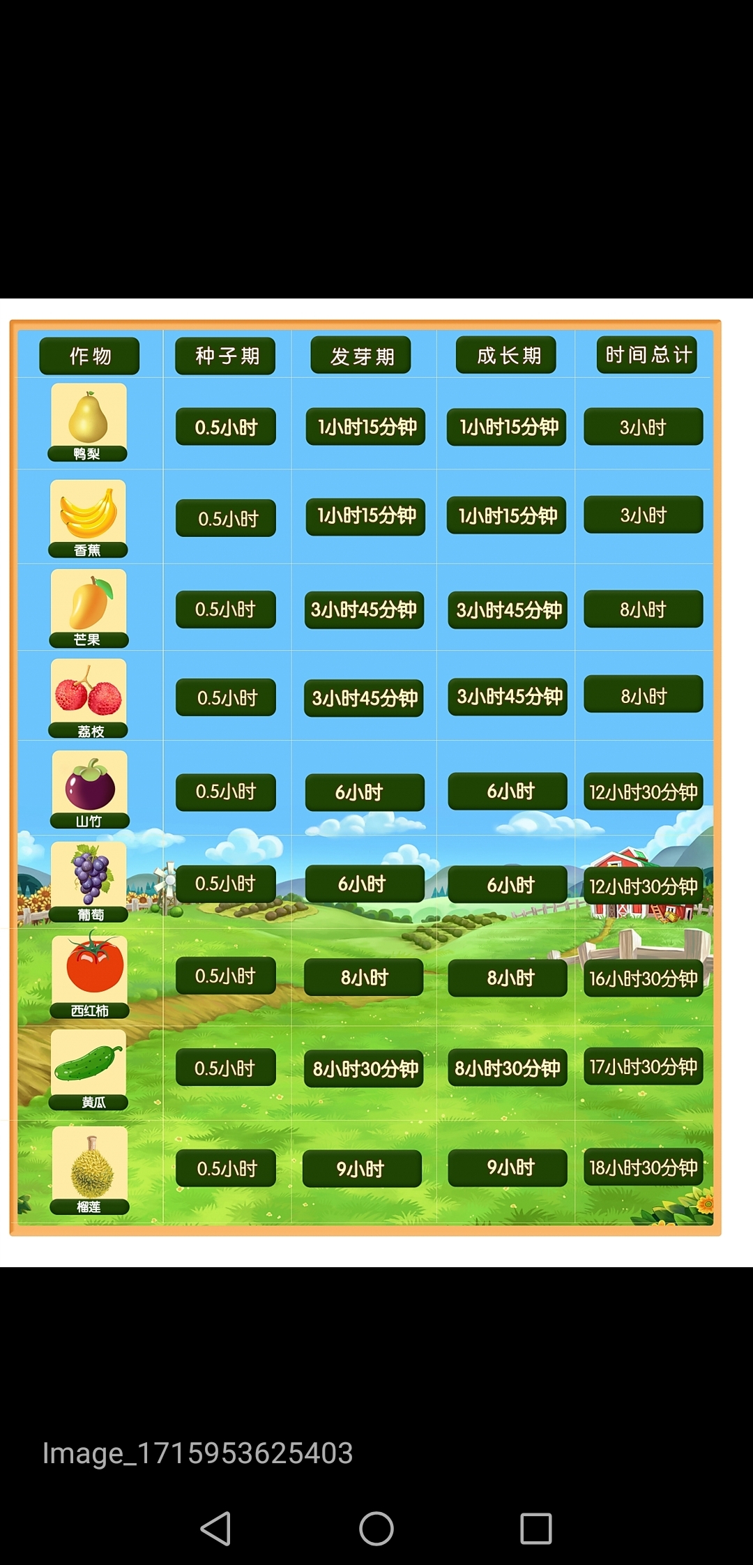 12adea10bb20240518080439