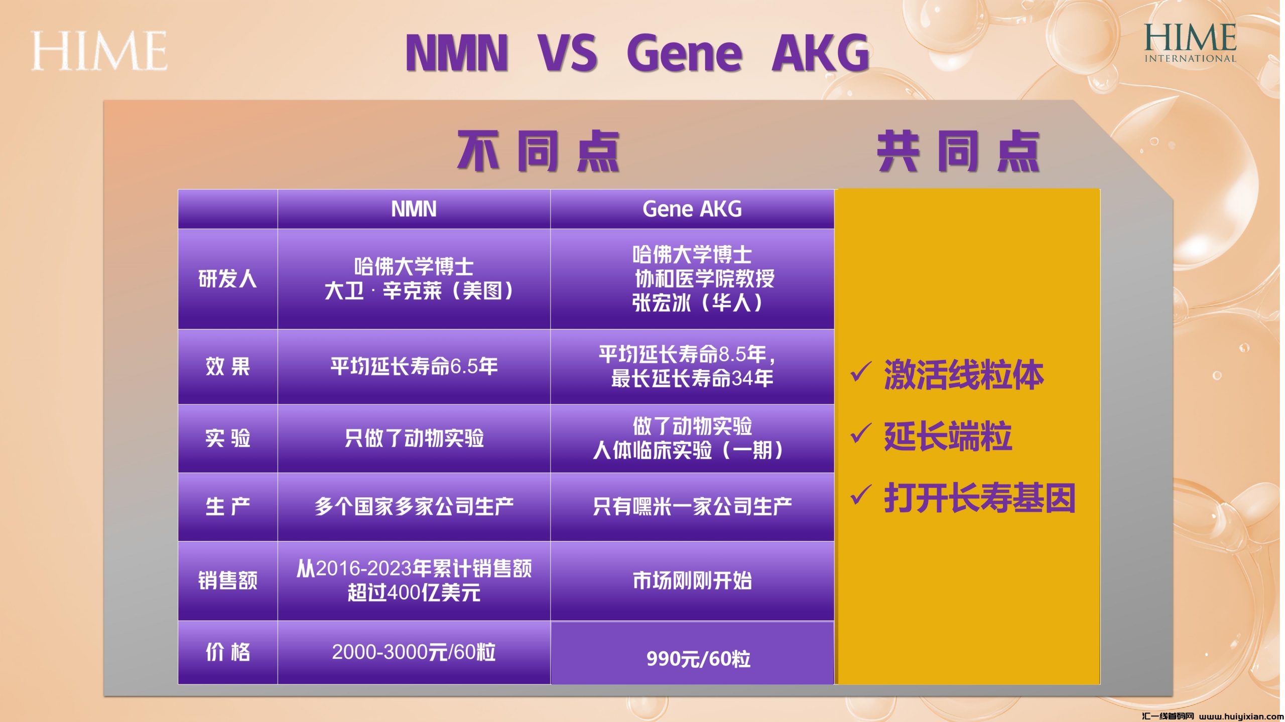 208a7a65d520240531155013