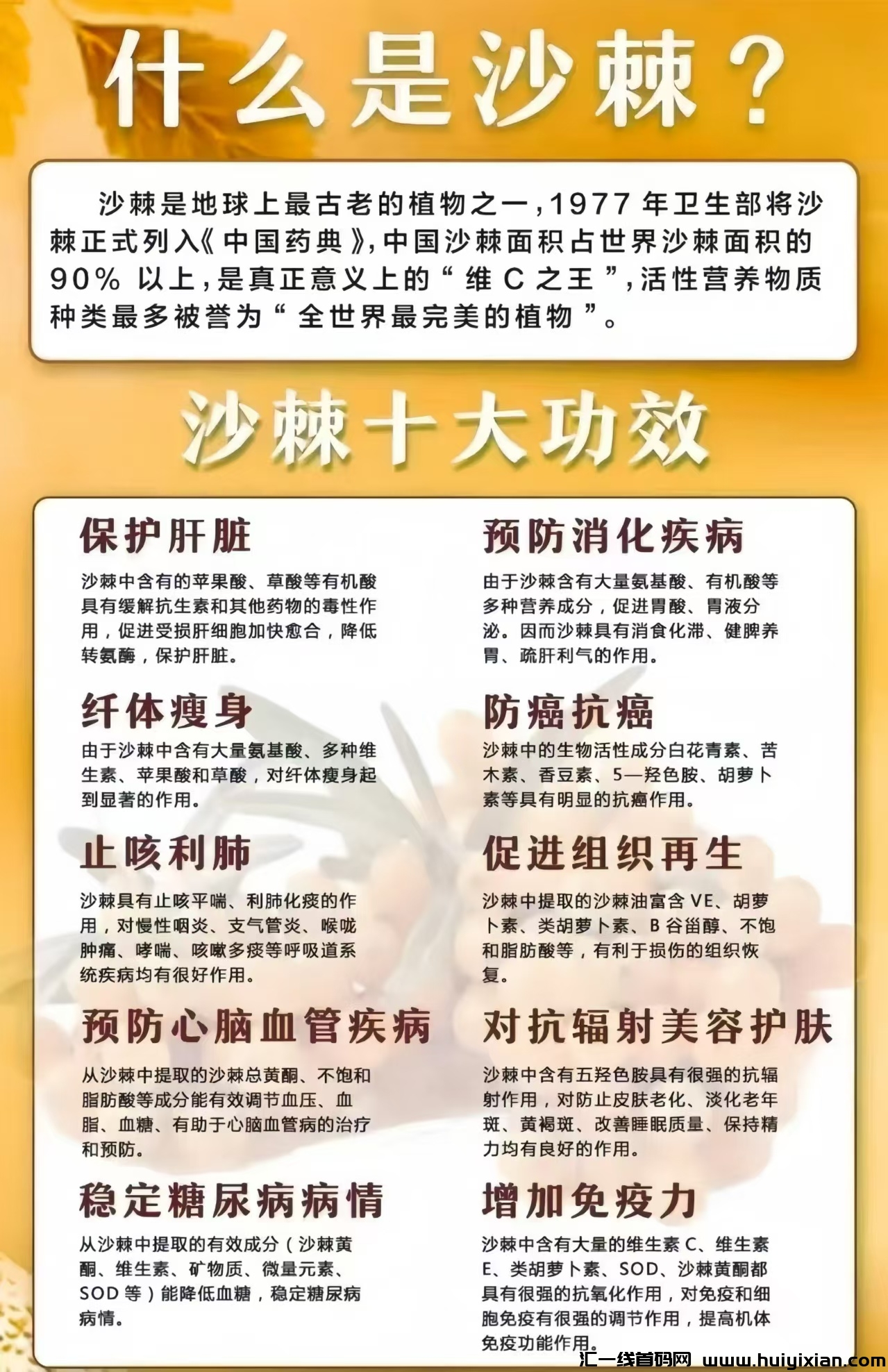 8cda81fc7a20240519102757