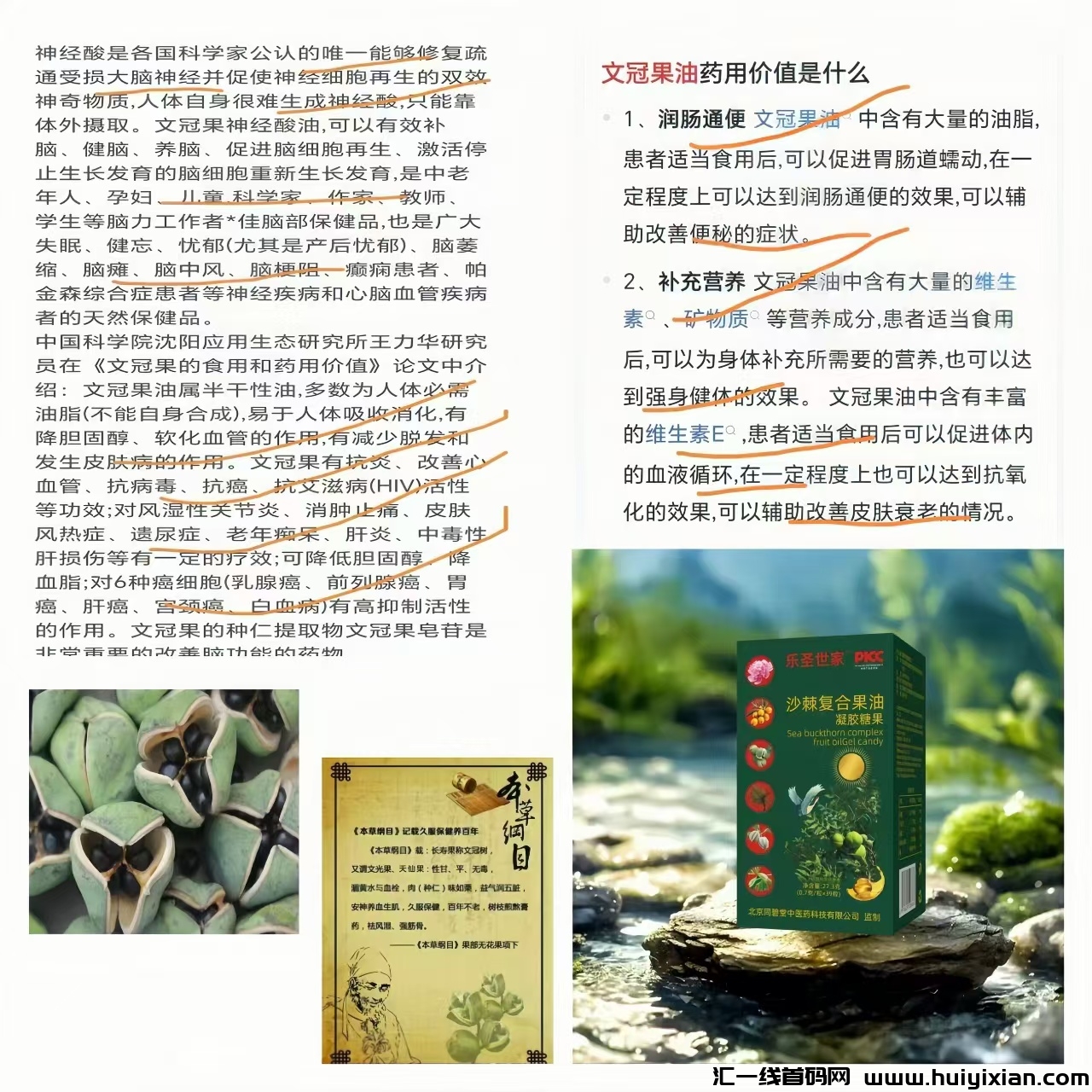 9414a8f5b820240519102825