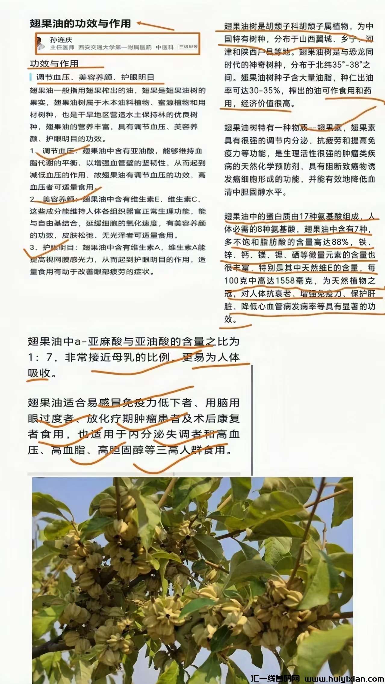 a269962fe120240519102844