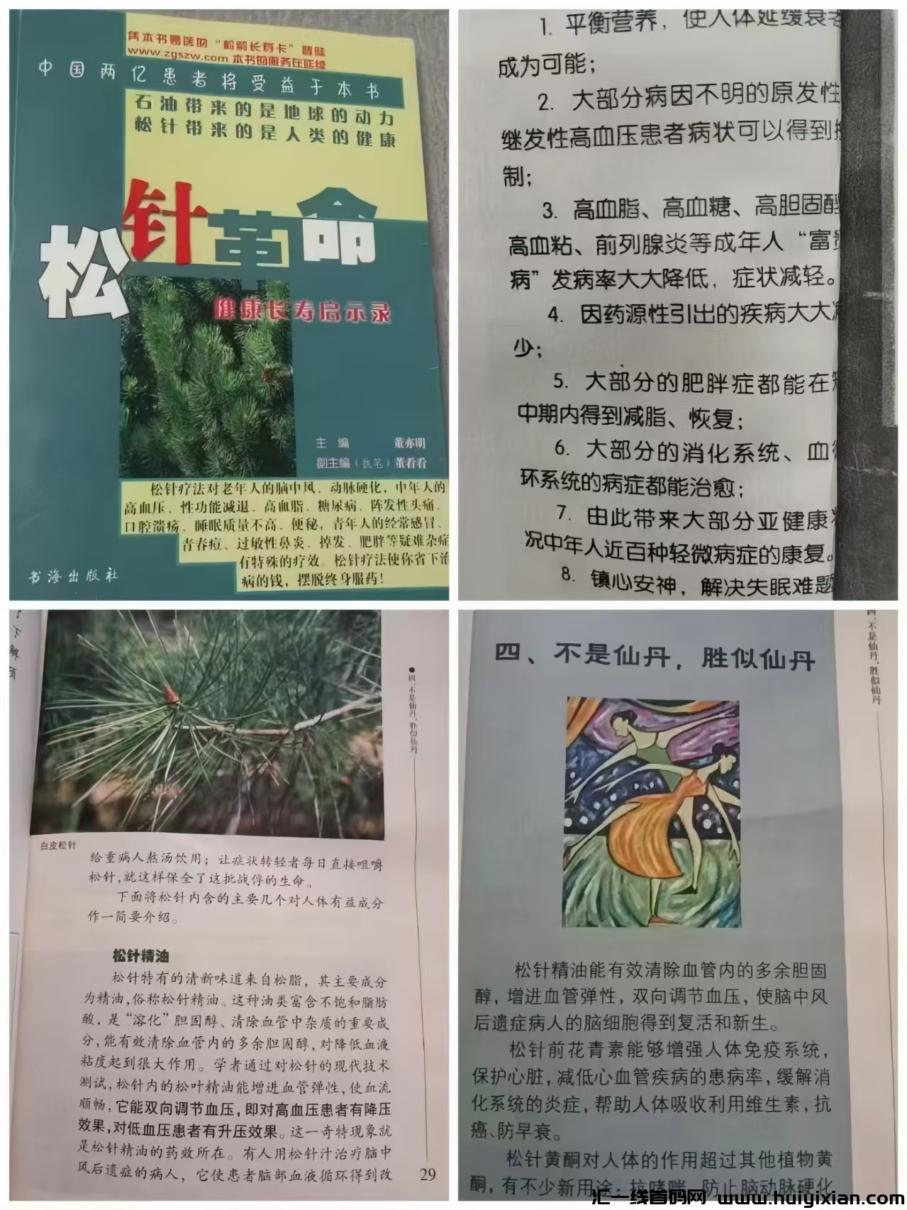 ae5662532820240519102809