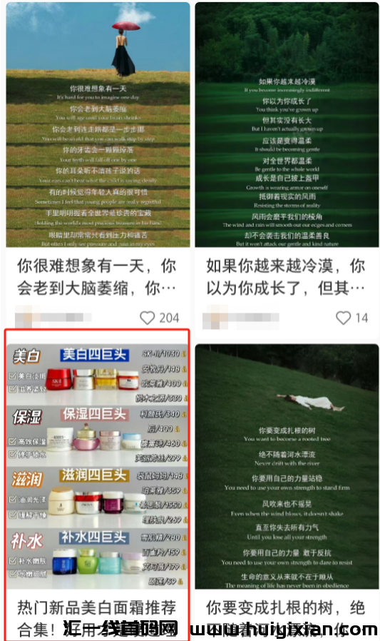 图片[3]-快速吸金玩法，一単￥300+，轻松月入过万！-汇一线首码网