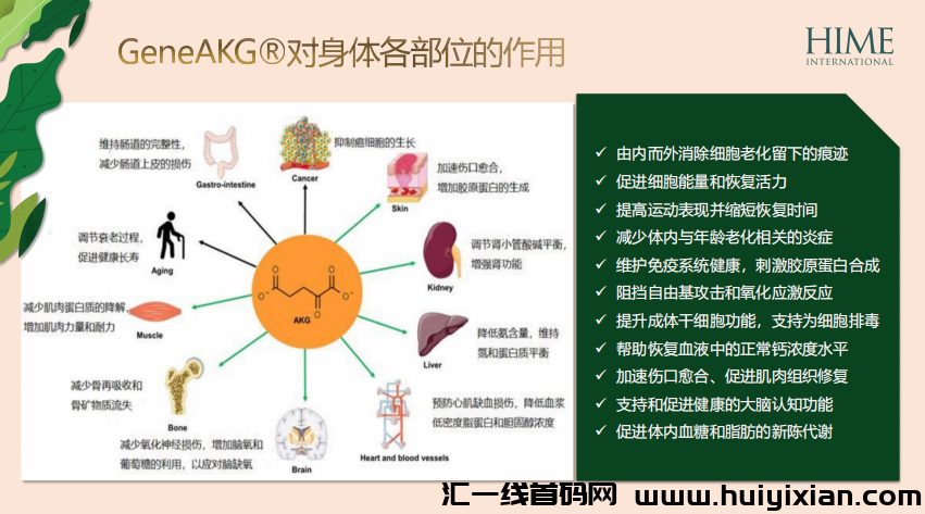 d2b5ca33bd20240507173154