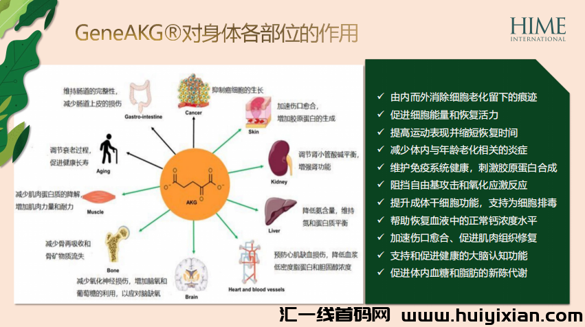 d2b5ca33bd20240512171206