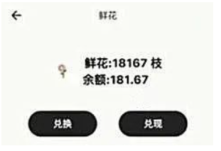 图片[4]-薅羊毛0门槛项目，打字聊天就能当天收益￥300+-汇一线首码网