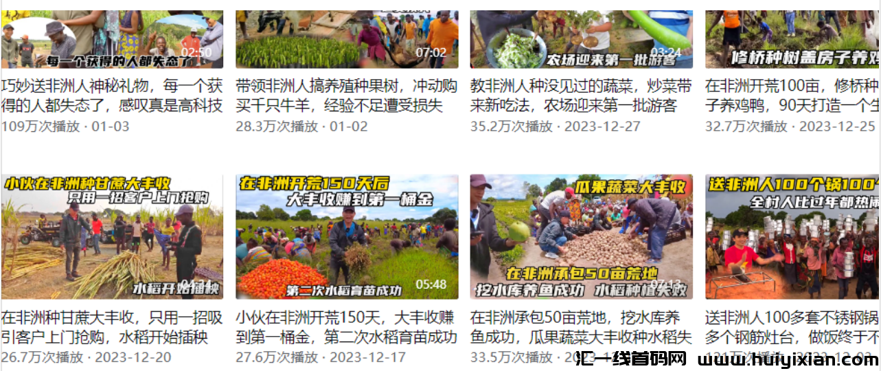 图片[4]-无脑搬砖，有手就会，単日赚钱￥2000+无上限！-汇一线首码网