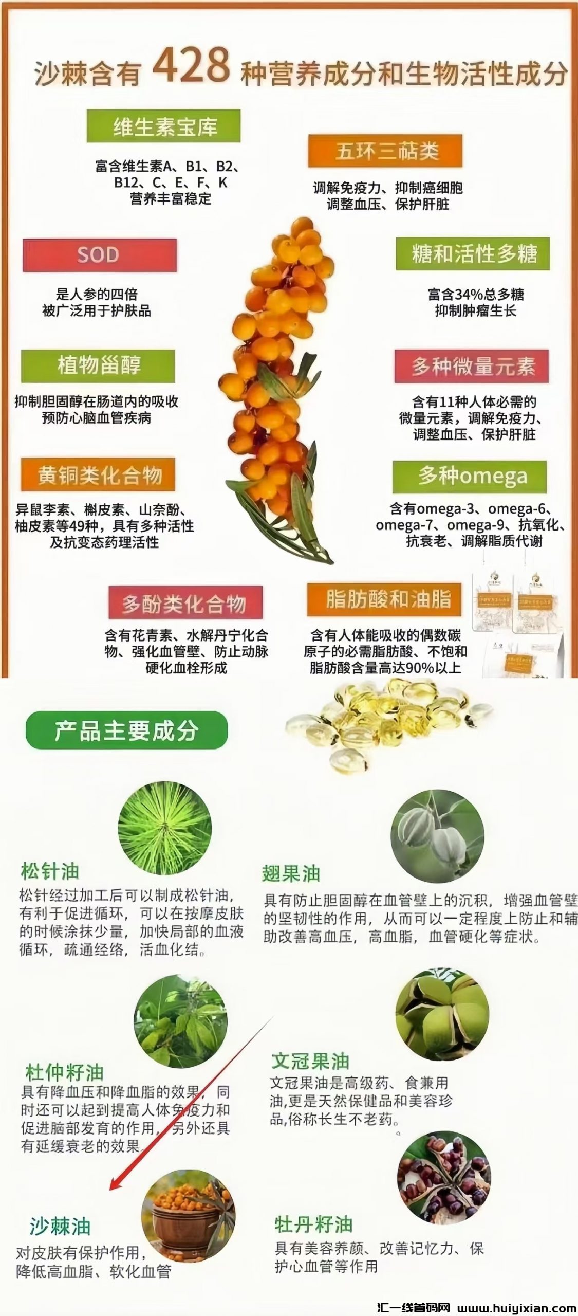 fe5df232ca20240519102751