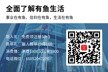 10c315876520240625202852