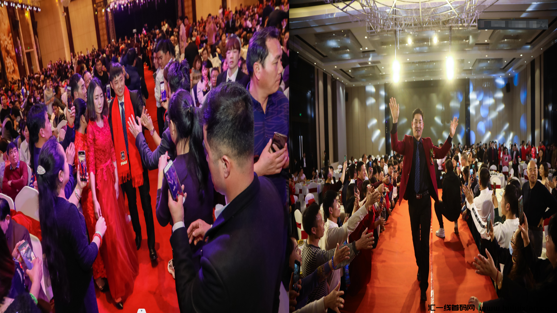 8305f9832d20240629232907