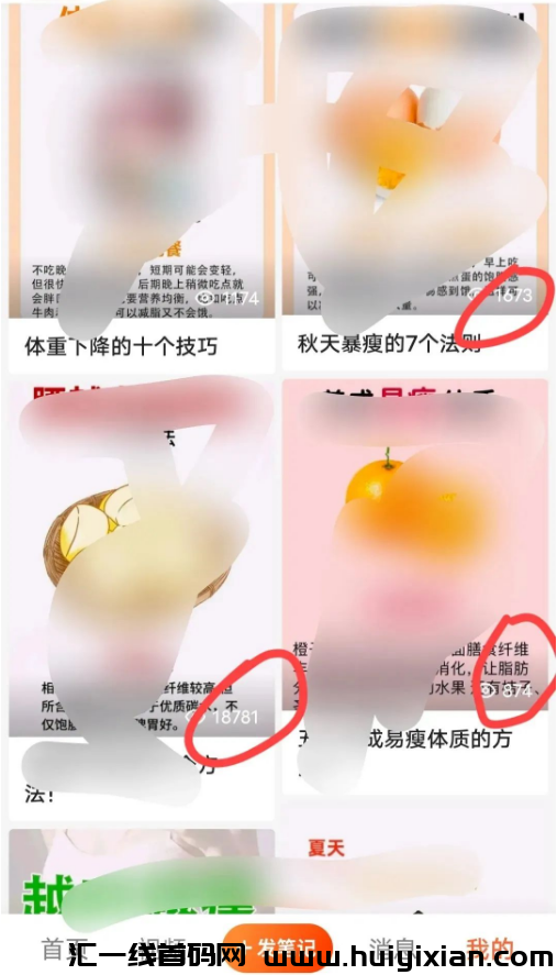 图片[2]-0撸项目，秒到粀！新手直接干就完了！-汇一线首码网