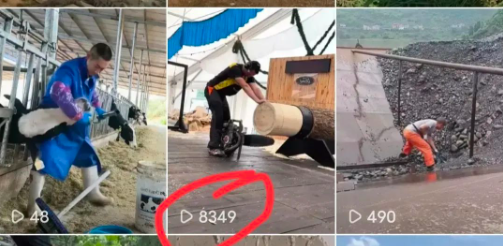 图片[2]-亲测蓝海项目，7天赚钱2000+！新手抓紧玩！-汇一线首码网