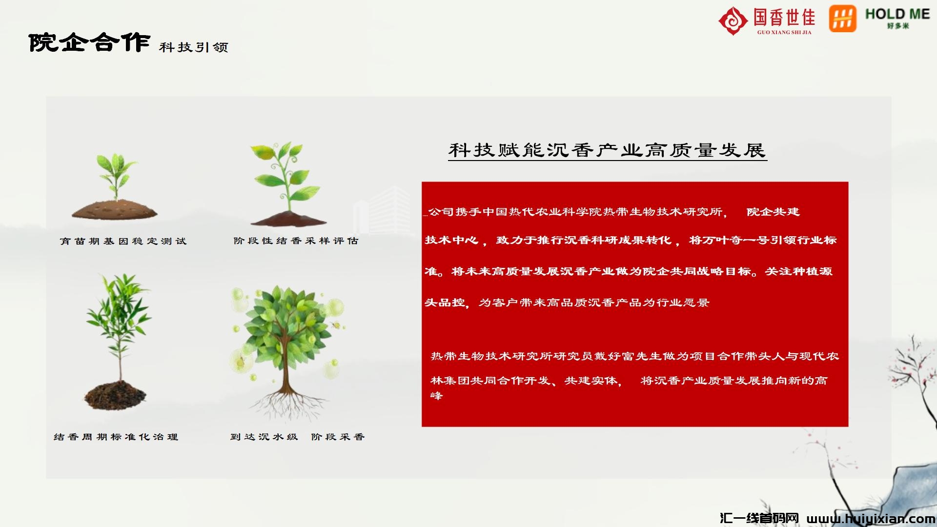 170211e9c720240718111044