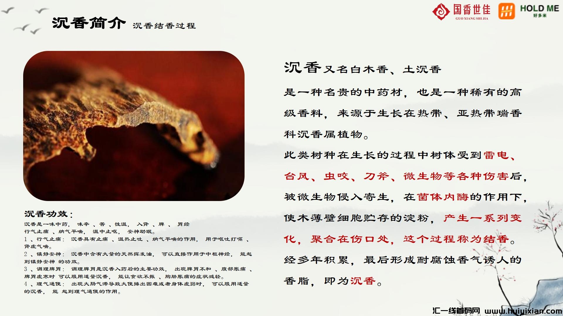 358d6cf6dd20240718111044