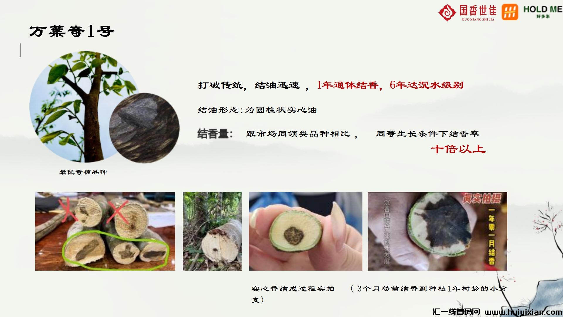 ce378e2aba20240718111044