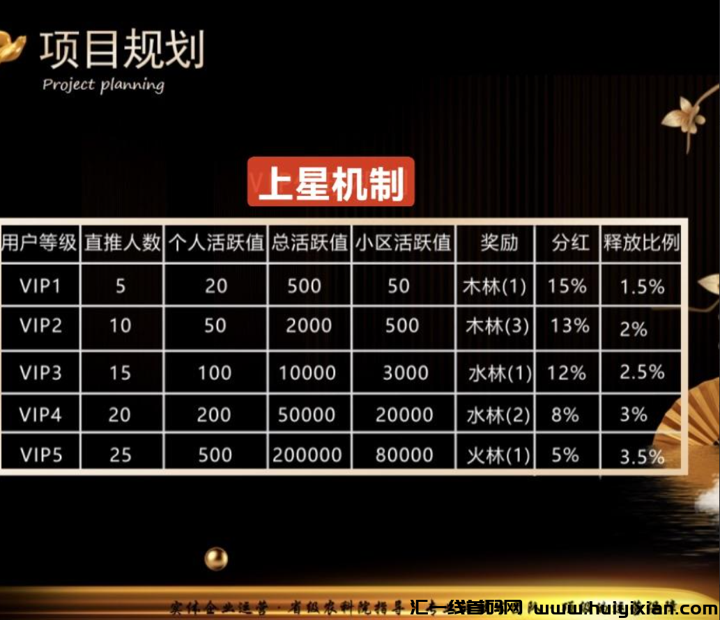 d2b5ca33bd20240729141838