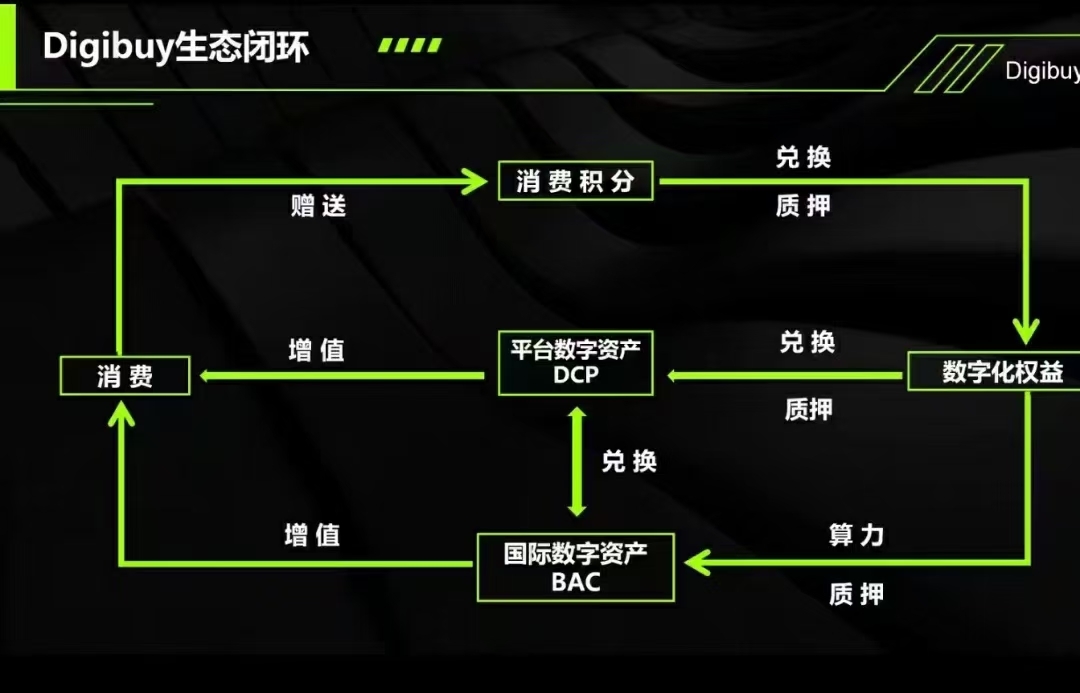 8c9ba68c3120240819152443