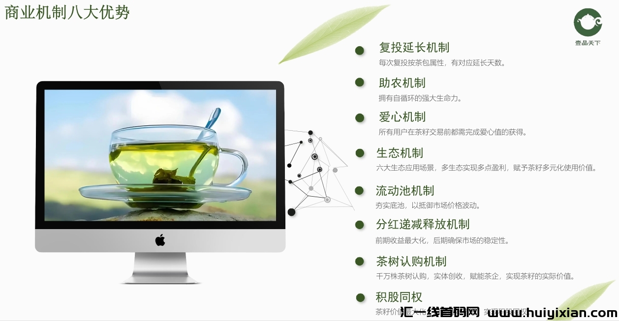 b8915db40120240816214548