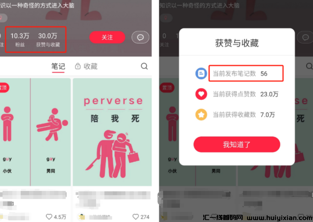 图片[2]-起号一个月，涨粉10万，赚钱3W+，太猛了！-汇一线首码网