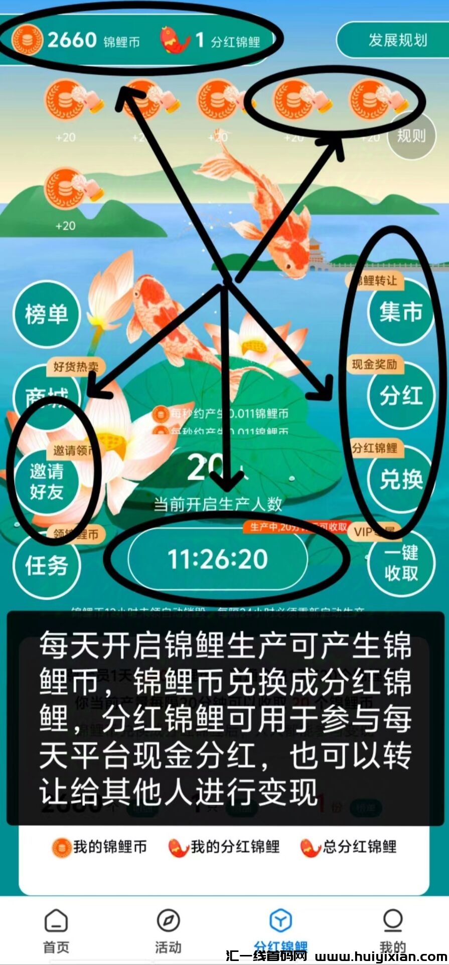 1274ed6e2220241009152037