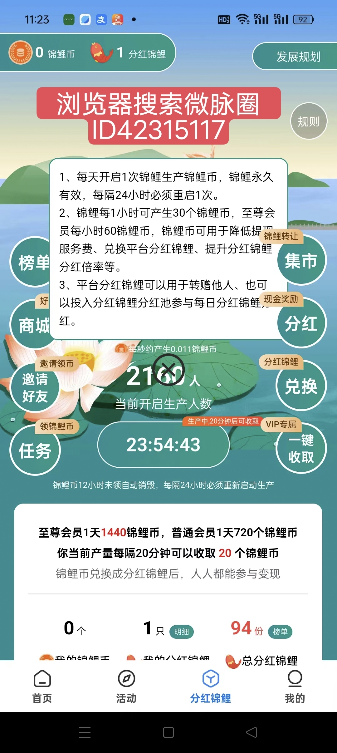 4969931e1e20241002121826