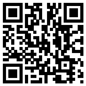 999954949320241005133119