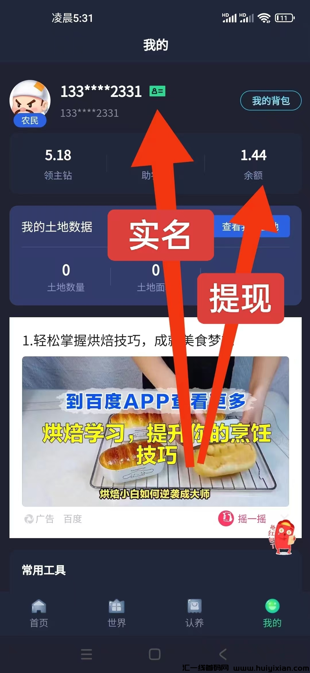 156005c5ba20241105055019