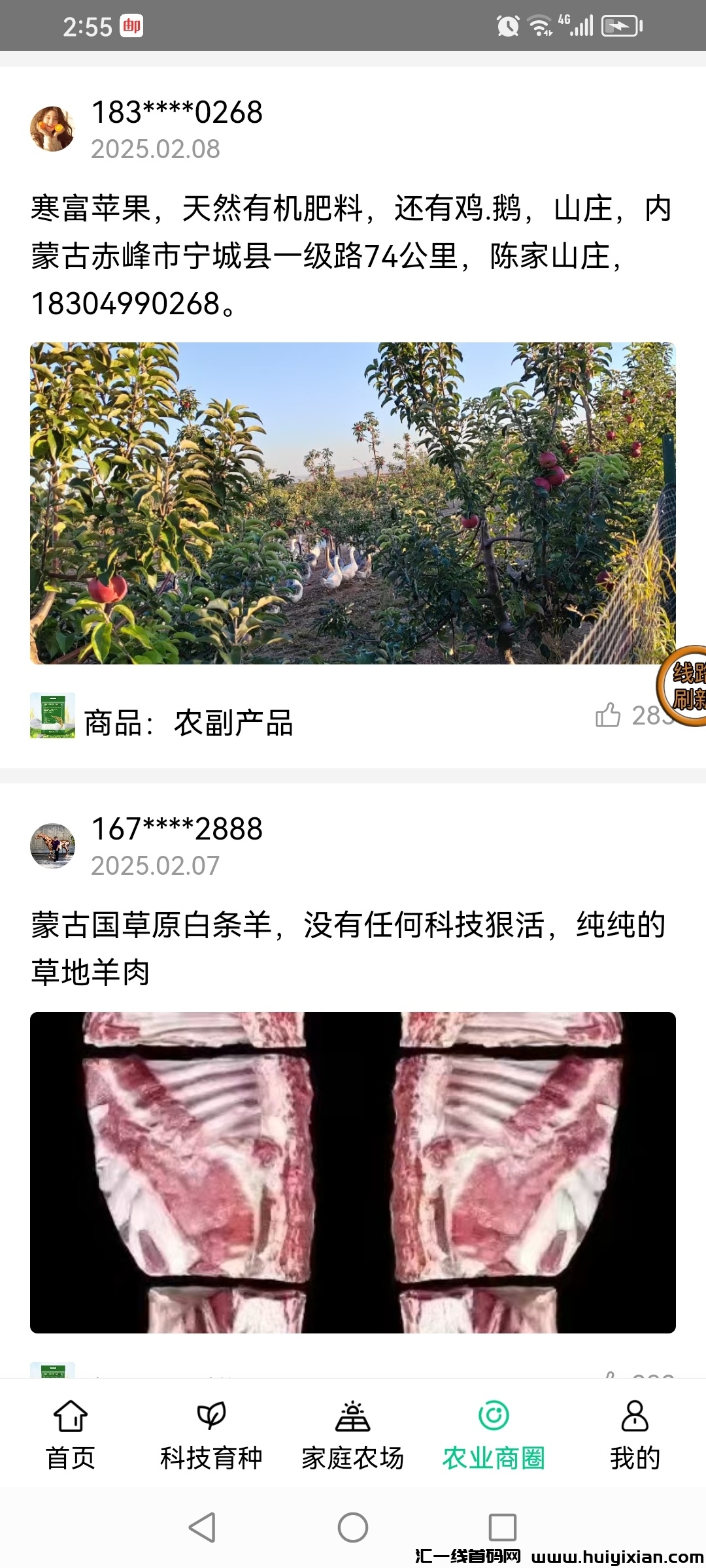 156005c5ba20250221161604