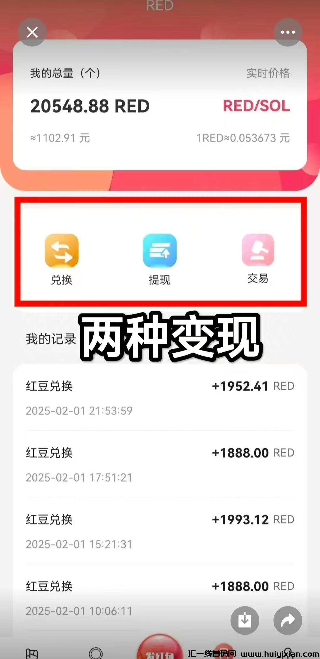 703361aef720250206061733