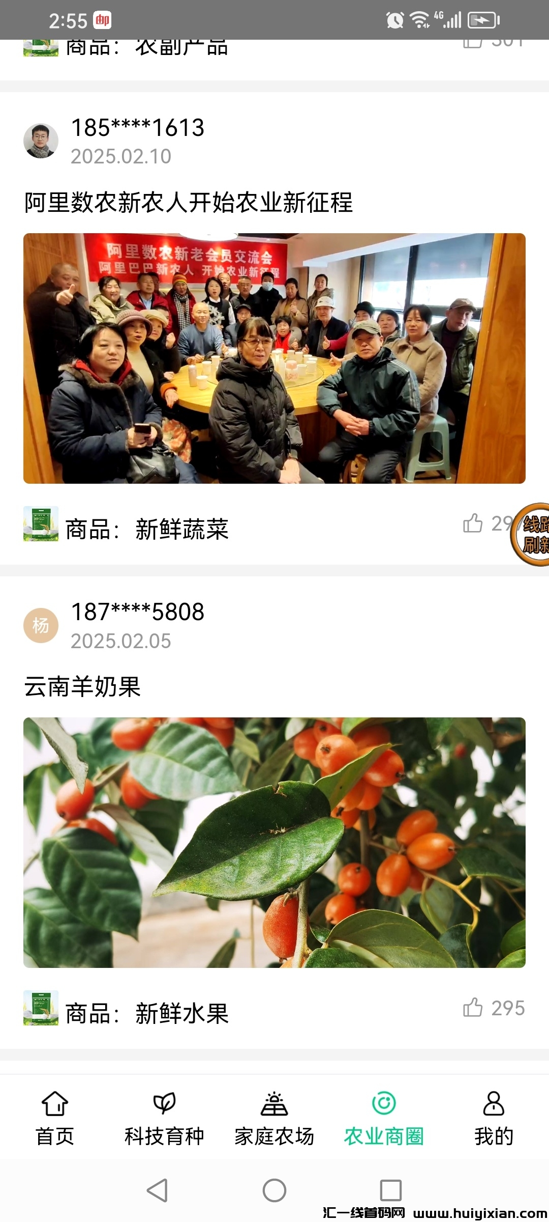 799bad5a3b20250221161604