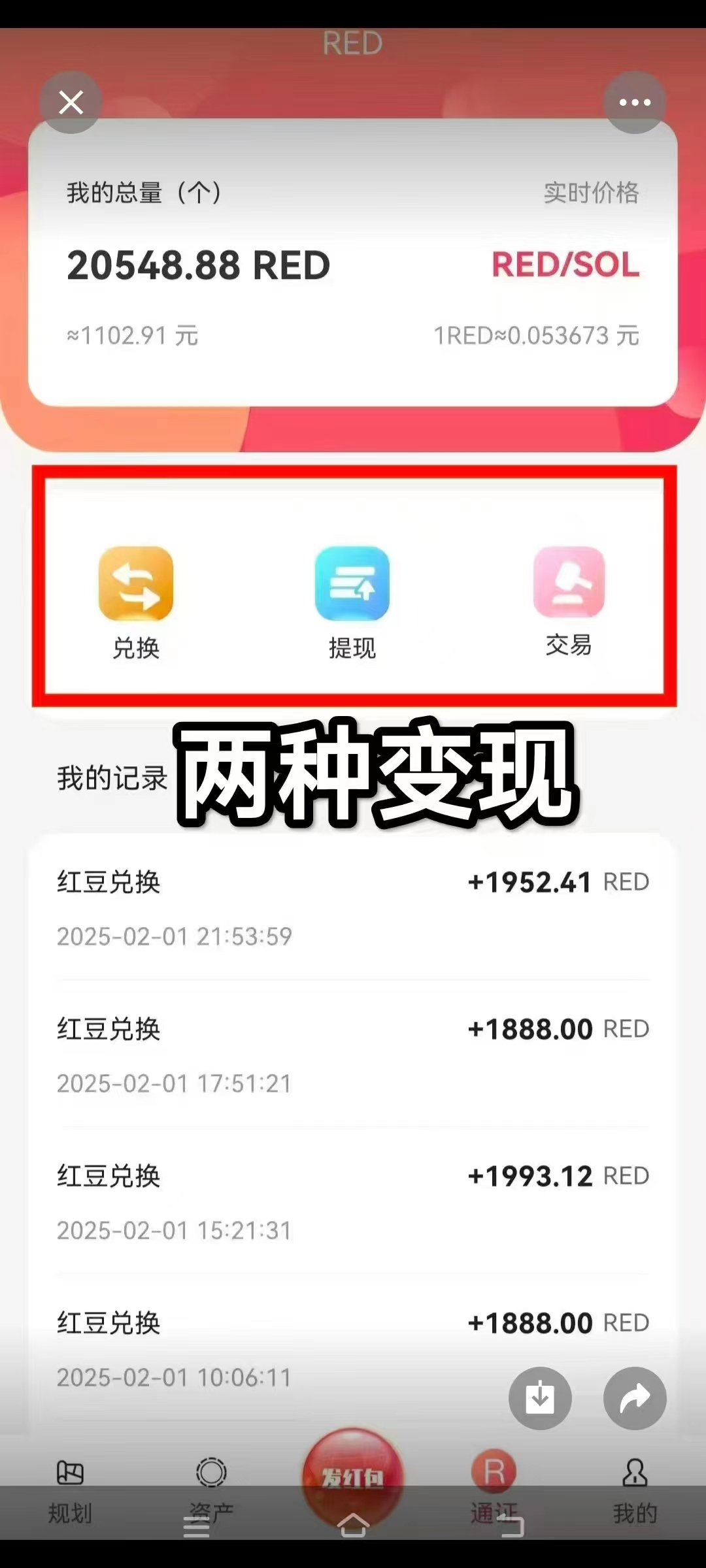 c4a295cdc520250204080800