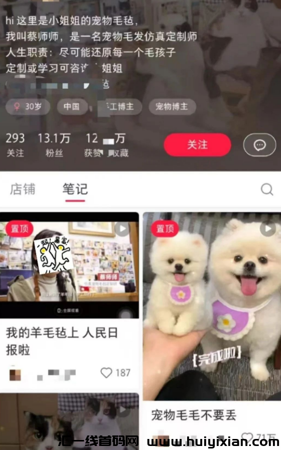 图片[3]-挖到宝了！被低估的宠物赛道，一条作品赚钱百万，操作方法都在这-汇一线首码网