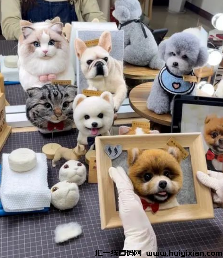 图片[4]-挖到宝了！被低估的宠物赛道，一条作品赚钱百万，操作方法都在这-汇一线首码网