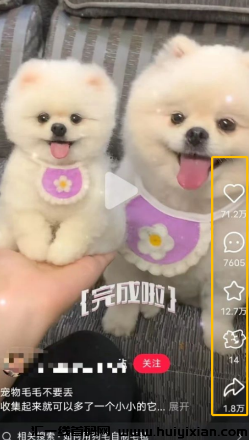 图片[5]-挖到宝了！被低估的宠物赛道，一条作品赚钱百万，操作方法都在这-汇一线首码网
