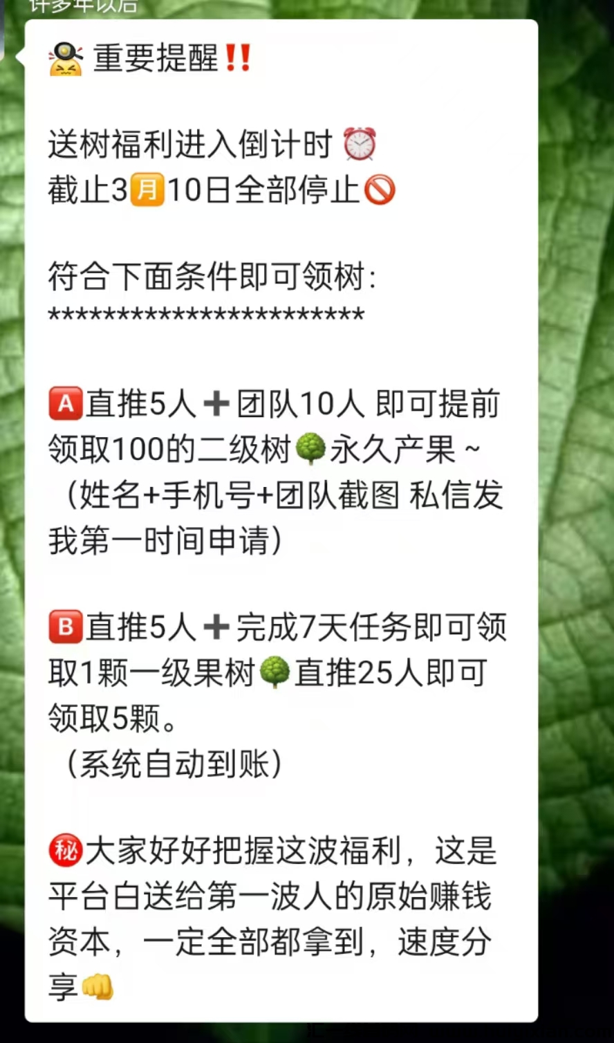 26be50128520250306030545