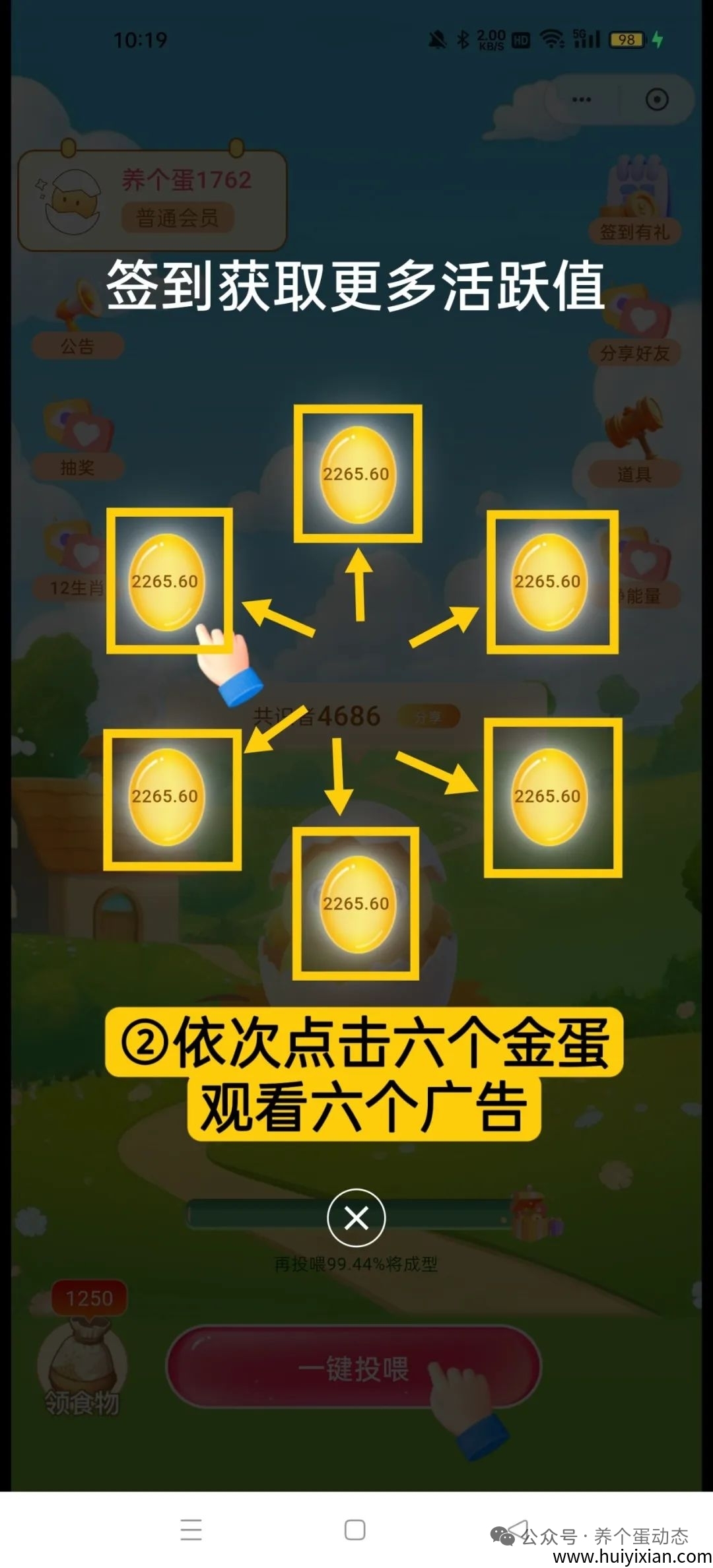 ba8944626620250524123242