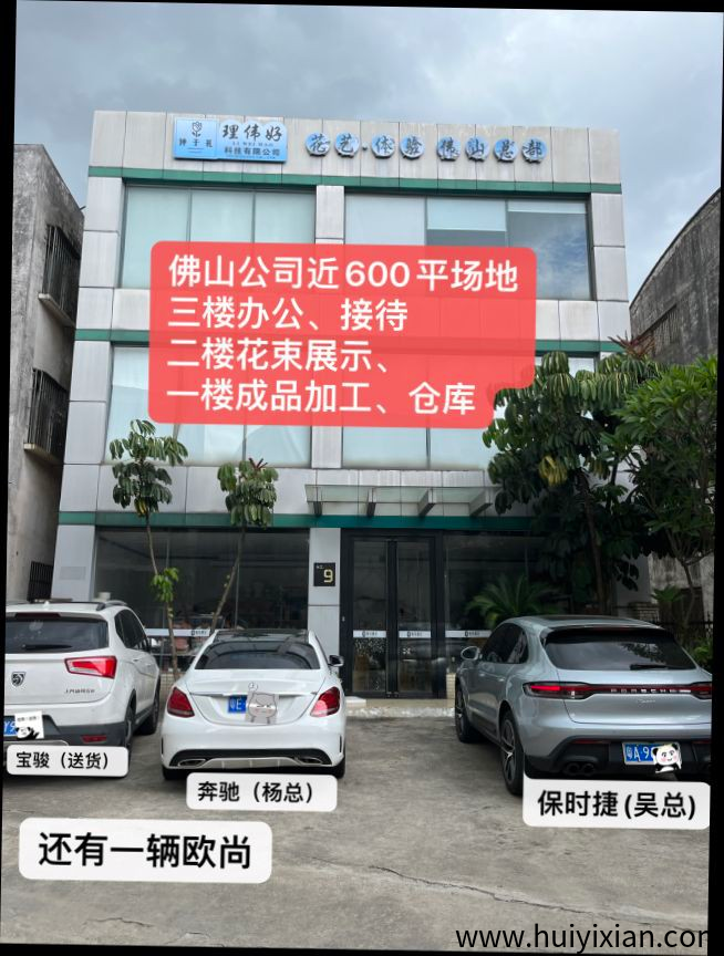 手工永生花，易上手几分钟可学会，订単长期稳！-汇一线首码网