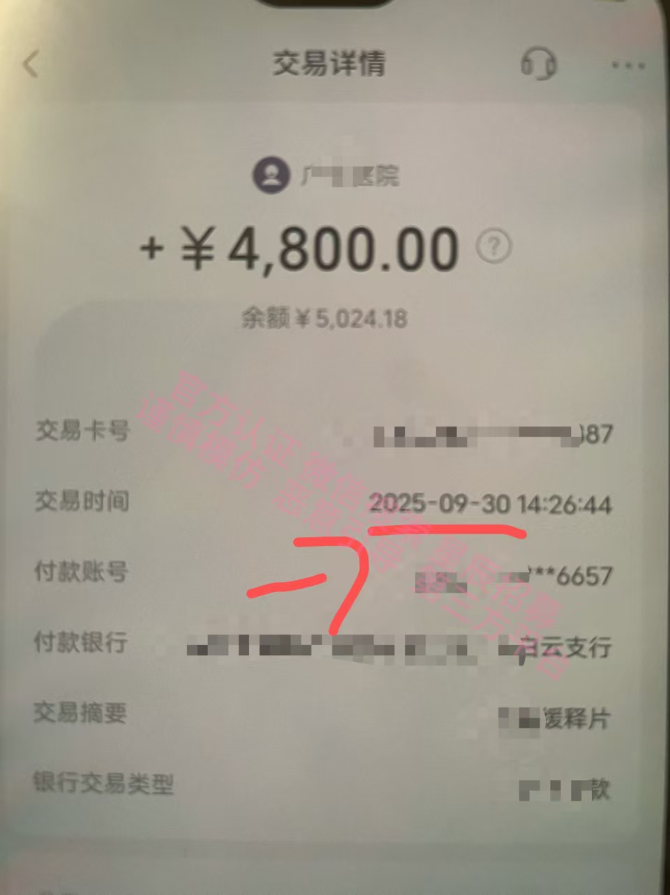 451033fcd720251009122939