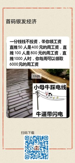 首码银发经济,内测上线,保底收艺高,上车吃肉,不要错过!-汇一线首码网