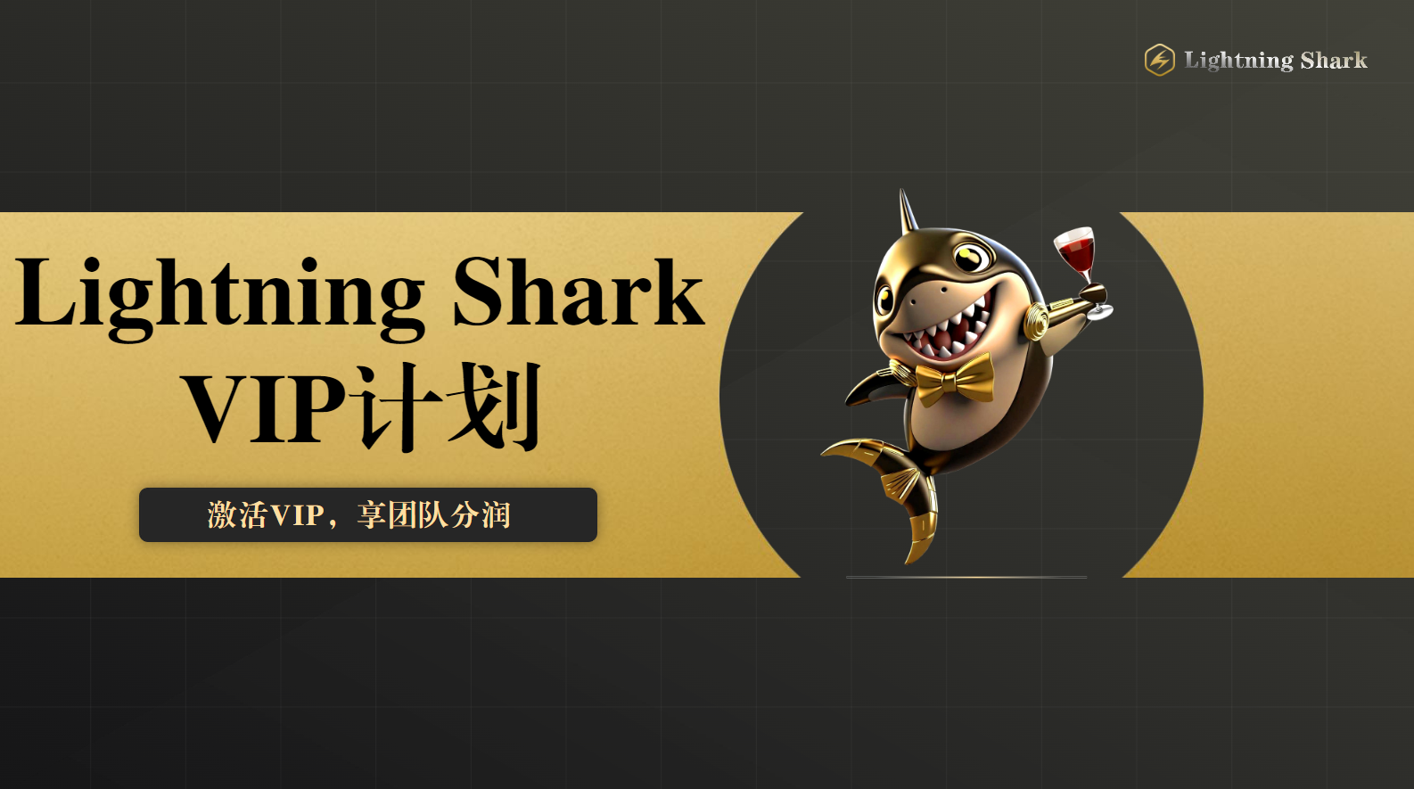 图片[14]-闪电鲨首码已出 欢迎各大領导人前来对接 政策拉满-汇一线首码网