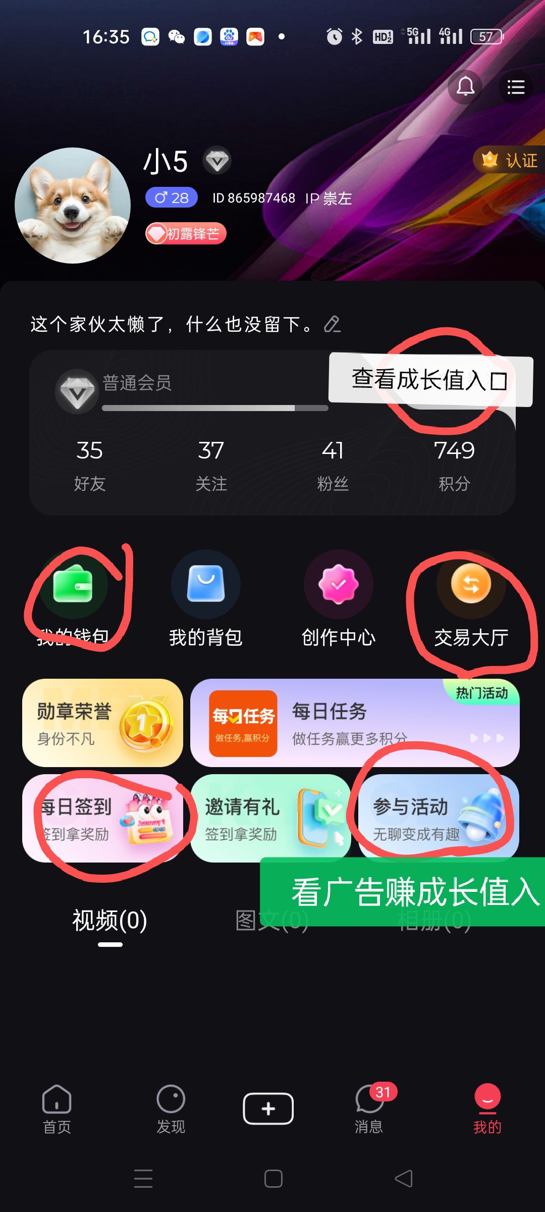 354afdc85320251212194051