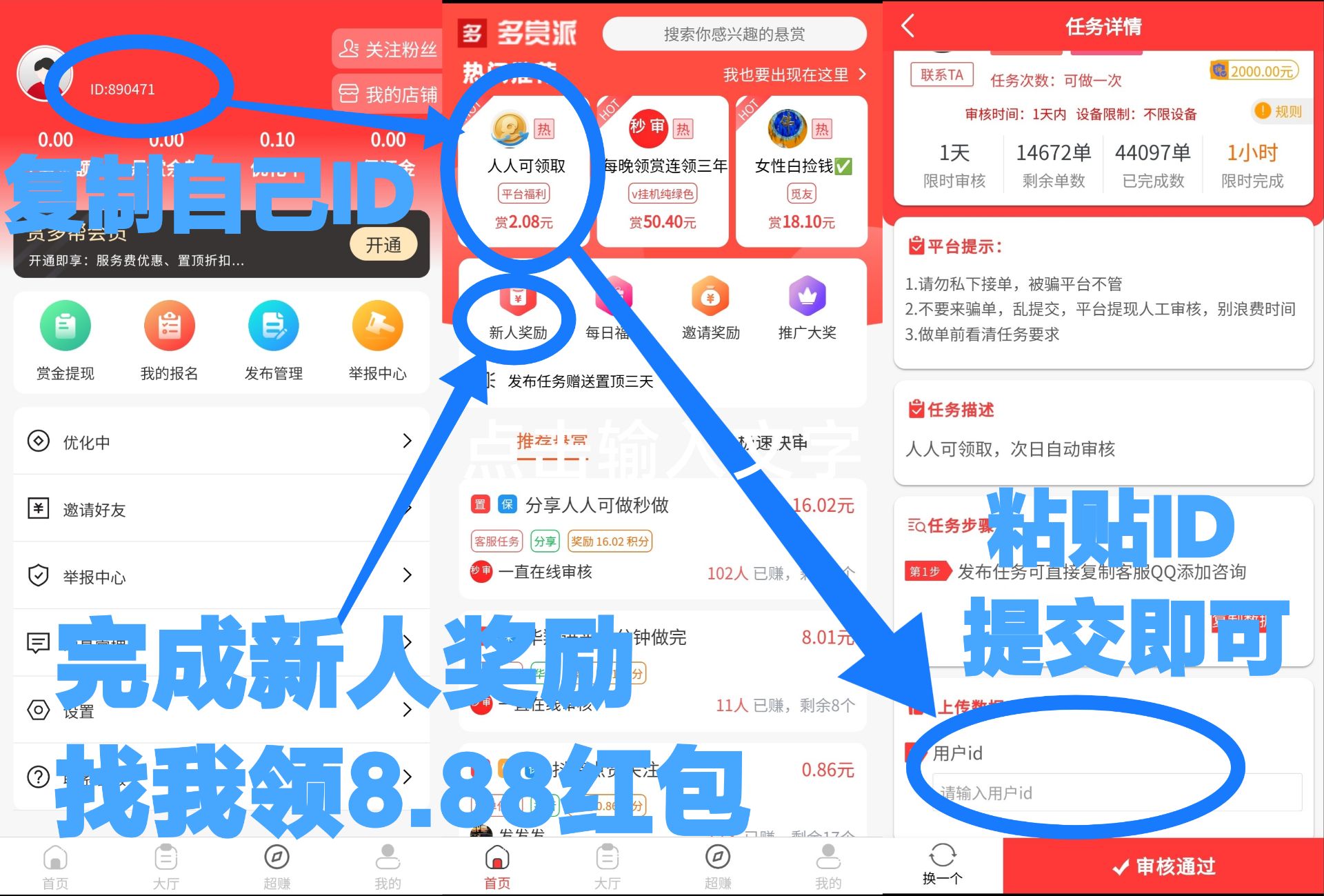 8c436ec66a20251216113314