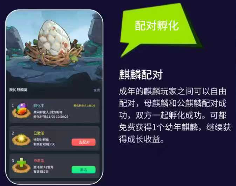 d2b5ca33bd20251202105702