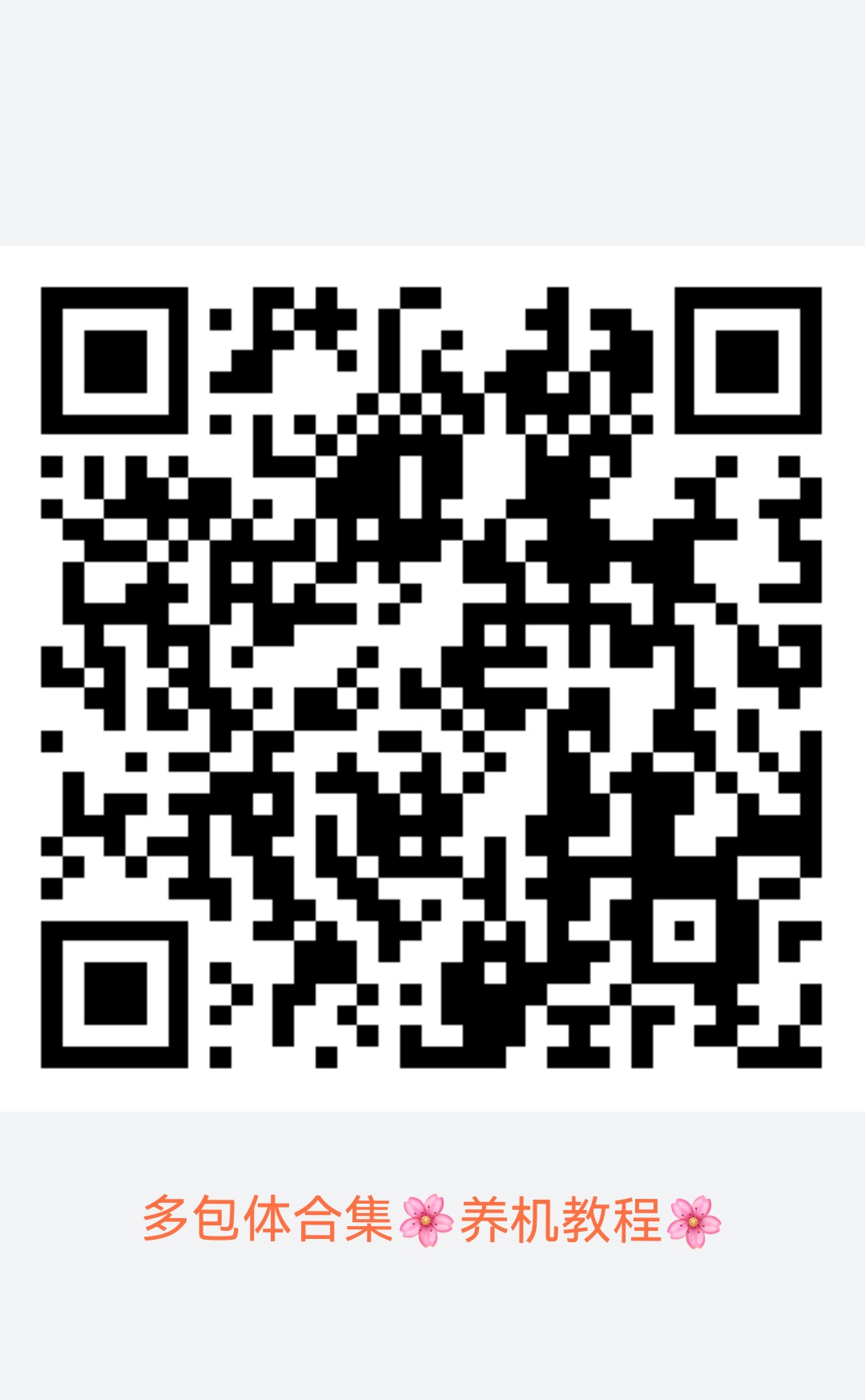 d4e2c6256f20251204143715